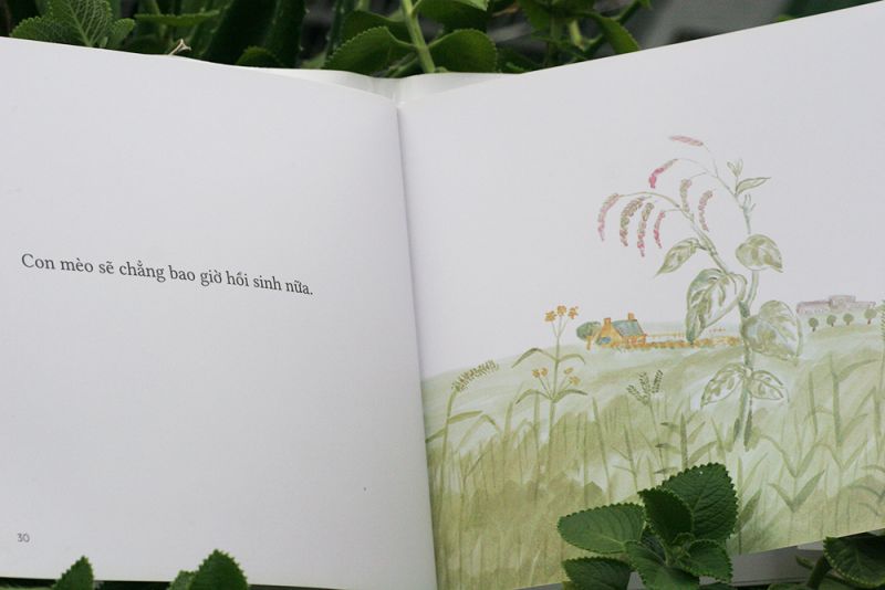 đọc con mèo triệu kiếp ở ngay thời điểm của tuổi trẻ